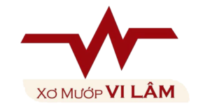 LOGO VILAM